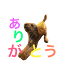 パン屋のパンくん（個別スタンプ：5）
