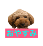 パン屋のパンくん（個別スタンプ：8）