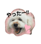GO！ GO！ 龍ちゃんⅣ（個別スタンプ：2）