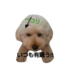 GO！ GO！ 龍ちゃんⅣ（個別スタンプ：3）