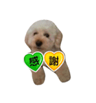 GO！ GO！ 龍ちゃんⅣ（個別スタンプ：4）