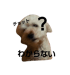 GO！ GO！ 龍ちゃんⅣ（個別スタンプ：6）