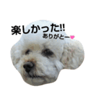 GO！ GO！ 龍ちゃんⅣ（個別スタンプ：8）