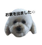 GO！ GO！ 龍ちゃんⅣ（個別スタンプ：9）