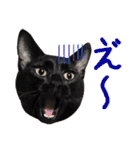 こうご動物病院のおともだち（個別スタンプ：19）