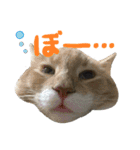 こうご動物病院のおともだち（個別スタンプ：25）