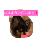 happyHS（個別スタンプ：3）