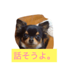 happyHS（個別スタンプ：6）