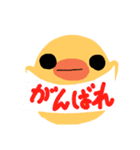 ぴよこたま（個別スタンプ：3）