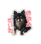 チップとザック（個別スタンプ：6）