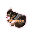 チップとザック（個別スタンプ：7）