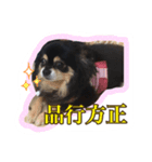 チップとザック（個別スタンプ：13）