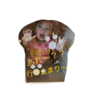 香澄のスタンプだよ（個別スタンプ：1）