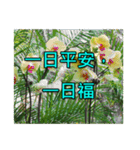 Yellow Flower images(Taiwanese version)（個別スタンプ：6）