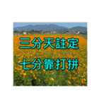 Yellow Flower images(Taiwanese version)（個別スタンプ：8）