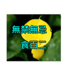 Yellow Flower images(Taiwanese version)（個別スタンプ：9）