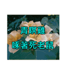 Yellow Flower images(Taiwanese version)（個別スタンプ：11）