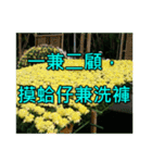 Yellow Flower images(Taiwanese version)（個別スタンプ：13）
