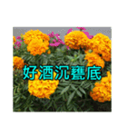 Yellow Flower images(Taiwanese version)（個別スタンプ：20）