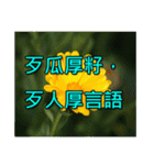Yellow Flower images(Taiwanese version)（個別スタンプ：25）