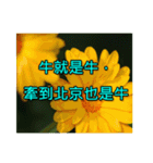 Yellow Flower images(Taiwanese version)（個別スタンプ：27）