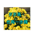 Yellow Flower images(Taiwanese version)（個別スタンプ：29）