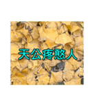 Yellow Flower images(Taiwanese version)（個別スタンプ：30）