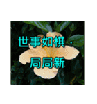 Yellow Flower images(Taiwanese version)（個別スタンプ：36）