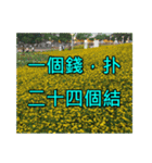 Yellow Flower images(Taiwanese version)（個別スタンプ：39）