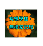Yellow Flower images(Taiwanese version)（個別スタンプ：40）