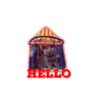 猫のブルーノ（個別スタンプ：2）