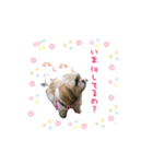 僕たち出番です！！（個別スタンプ：3）