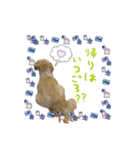 僕たち出番です！！（個別スタンプ：4）