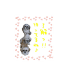 僕たち出番です！！（個別スタンプ：6）