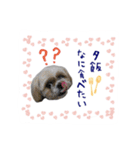 僕たち出番です！！（個別スタンプ：8）