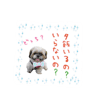 僕たち出番です！！（個別スタンプ：9）