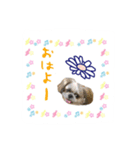 僕たち出番です！！（個別スタンプ：10）