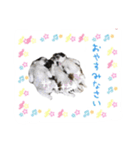 僕たち出番です！！（個別スタンプ：11）