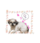 僕たち出番です！！（個別スタンプ：12）