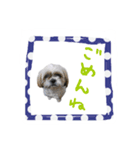 僕たち出番です！！（個別スタンプ：13）