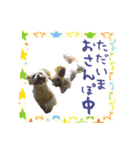 僕たち出番です！！（個別スタンプ：14）
