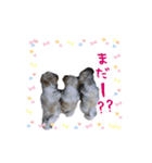 僕たち出番です！！（個別スタンプ：15）