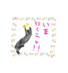 僕たち出番です！！（個別スタンプ：16）