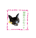 僕たち出番です！！（個別スタンプ：17）