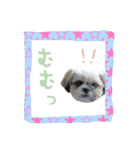 僕たち出番です！！（個別スタンプ：19）