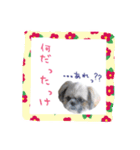 僕たち出番です！！（個別スタンプ：20）