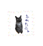 僕たち出番です！！（個別スタンプ：21）