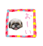 僕たち出番です！！（個別スタンプ：22）