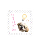 僕たち出番です！！（個別スタンプ：23）