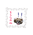 僕たち出番です！！（個別スタンプ：24）